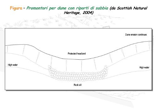 Linee Guida per gli interventi di difesa ambientale delle dune ... - catap