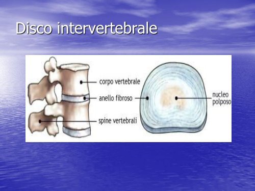 La patologia discoartrosica - Facoltà di Medicina e Chirurgia