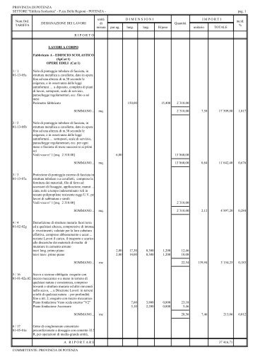 1 Computo Metrico Estimativo - Provincia di Potenza