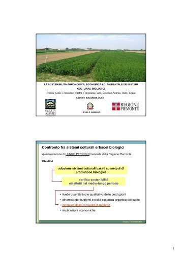 i metodi per l'agricoltura biologica e i risultati ottenuti. - Regione ...