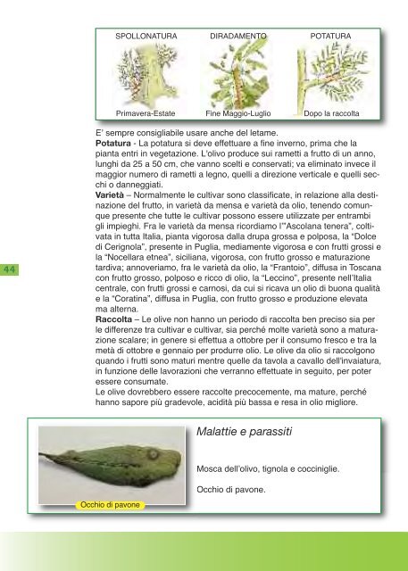 MANUALE PER LA COLTIVAZIONE DELL'ORTO - Natria