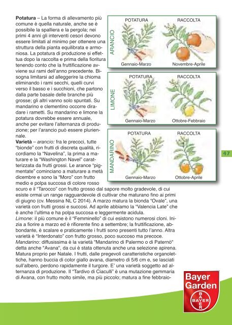 MANUALE PER LA COLTIVAZIONE DELL'ORTO - Natria