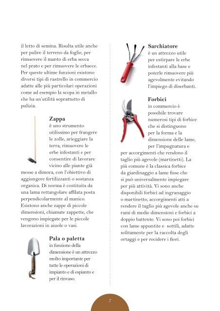 Origine E Storia Per La