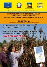MAIS BIANCOPERLA - ISI Duca degli Abruzzi