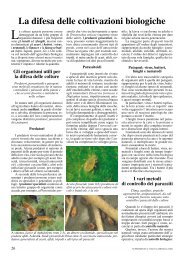 La difesa delle coltivazioni biologiche - Agronomo Costanzo