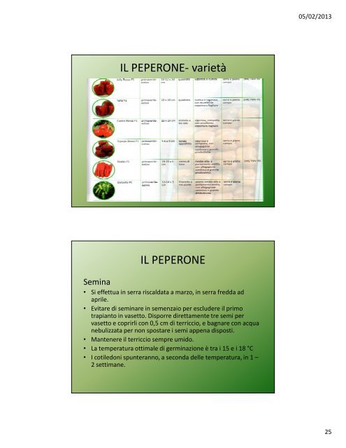 Lezione VII: Le solanacee - Agronomoeforestale.it