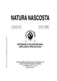 Natura Nascosta n° 16 - Il museo paleontologico