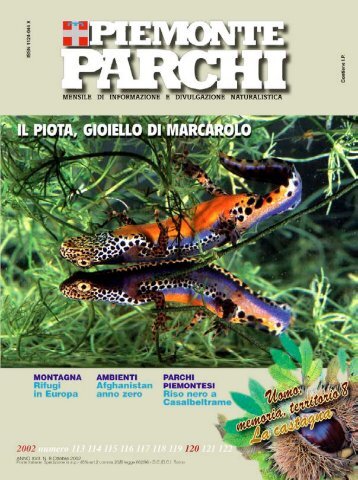 download rivista PDF - Regione Piemonte