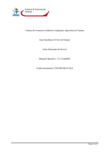 Manuale Operativo Carta Nazionale Servizi - Camera di commercio ...