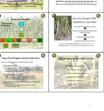 IL SORGO DA FORAGGIO: PROVE PARCELLARI E ... - ARAL