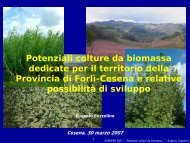 Potenziali colture da biomassa dedicate per il territorio ... - Agrofer