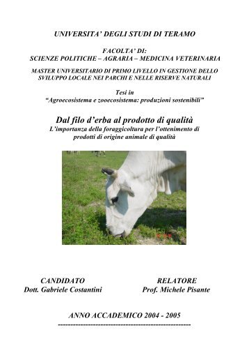 Foraggicoltura di qualità Costantini.pdf - A.R.S.S.A. Abruzzo