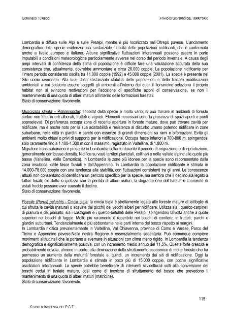 Documento 3 - Sistema informativo sovracomunale - Alto Milanese