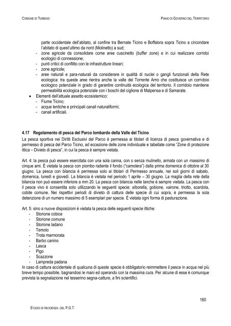 Documento 3 - Sistema informativo sovracomunale - Alto Milanese