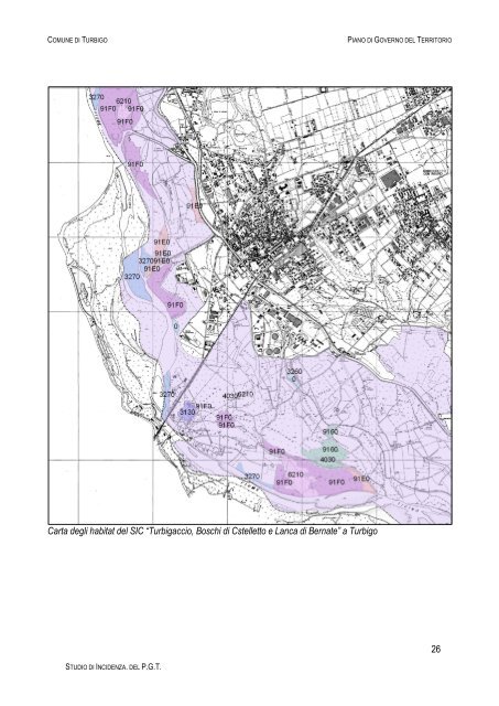 Documento 3 - Sistema informativo sovracomunale - Alto Milanese