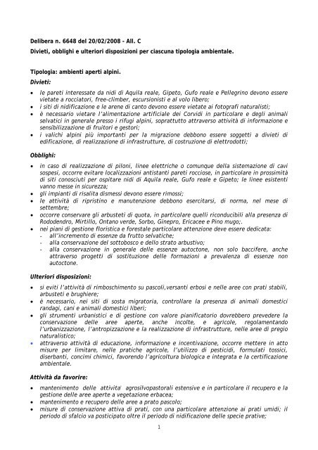 Documento 3 - Sistema informativo sovracomunale - Alto Milanese