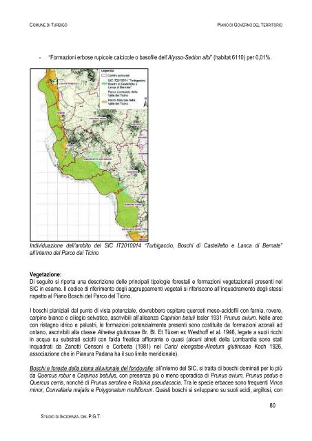 Documento 3 - Sistema informativo sovracomunale - Alto Milanese