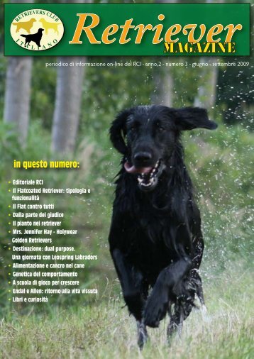 Copertina 3 - Retriever Magazine
