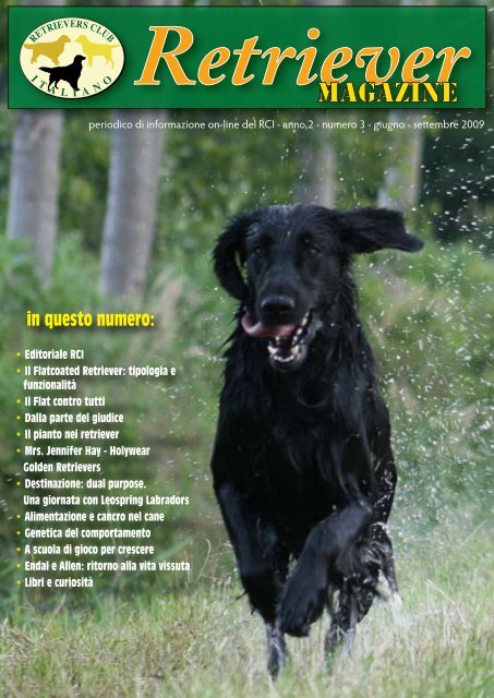 allenamento dietetico di boxer