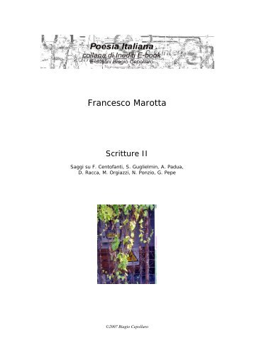 Francesco Marotta, Scritture II, 2007 - Biagio Cepollaro, poesia