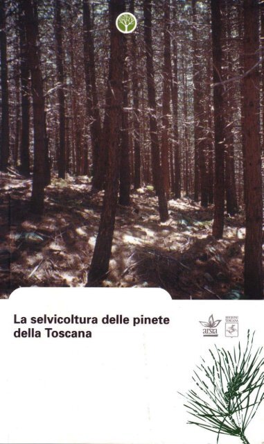 Capitolo sul pino domestico a cura di Livio Bianchi, Gianluca ...