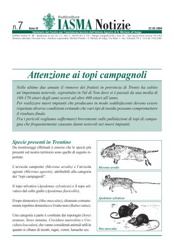 Download IASMA NOTIZIE FRUTTICOLTURA n. 7 - Fondazione ...