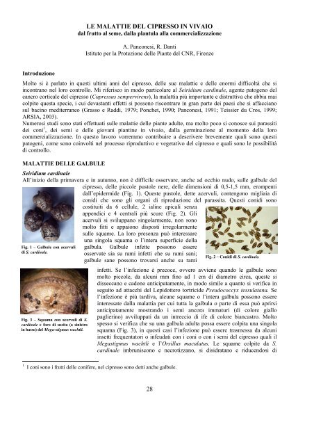 Brochure CYPMED - Arsia