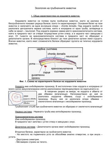 Зоология на гръбначните животни