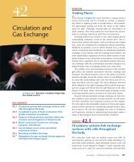 CH 42 Circulation and Gas Exchange.pdf - finedrafts