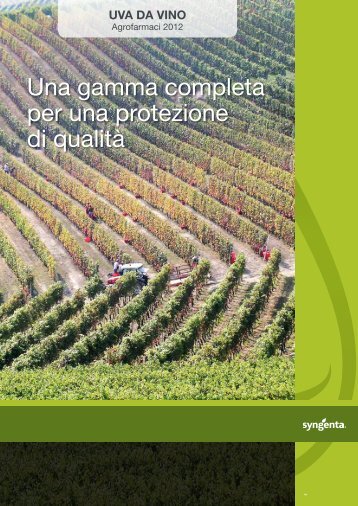 Uva da vino - Syngenta