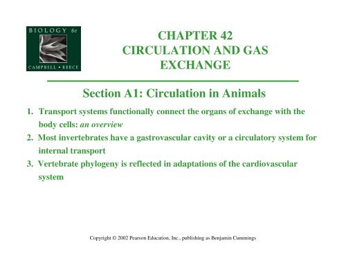 CHAPTER 42 CIRCULATION AND GAS EXCHANGE ... 