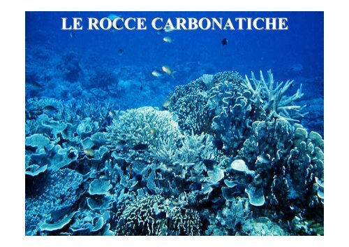 Le rocce sedimentarie