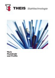 Die Produktbroschüre als PDF. - Theis.de