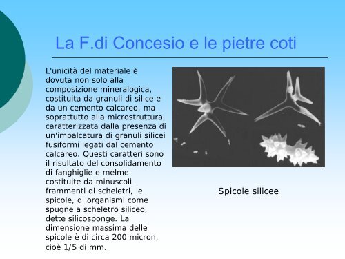 La geologia e la geomorfologia del territorio di Alzano ... - Fotoricerca