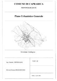 Tav. D - Relazione Geologica - Caprarica di Lecce