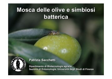 Mosca delle olive e simbiosi batterica - Arsia