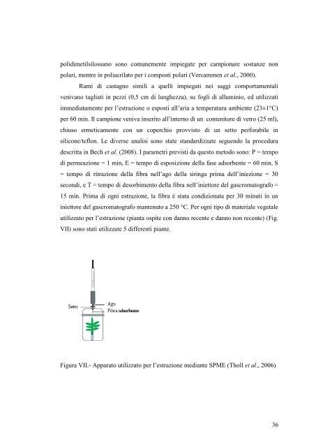 UNIVERSITÀ DEGLI STUDI DEL MOLISE