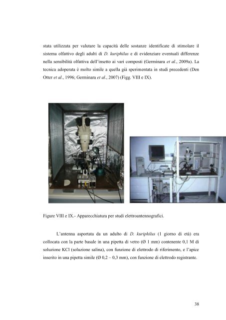 UNIVERSITÀ DEGLI STUDI DEL MOLISE