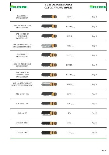 TUBI OLEODINAMICI OLEODYNAMIC HOSES