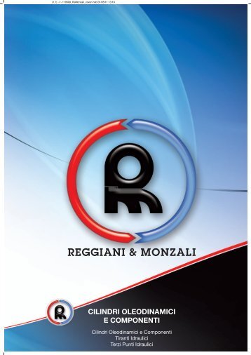 CILINDRI OLEODINAMICI E COMPONENTI - Reggianiemonzali.it