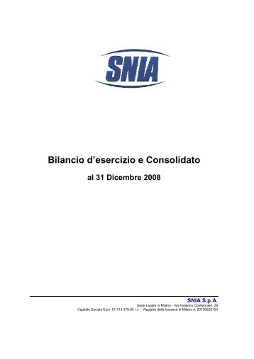 BILANCIO SNIA 2008