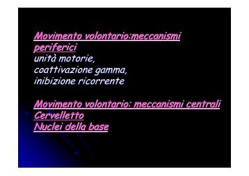 Movimento volontario