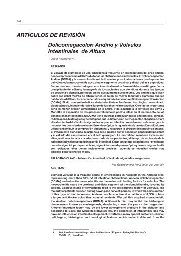 Dolicomegacolon Andino y Vólvulos Intestinales de Altura ... - SciELO