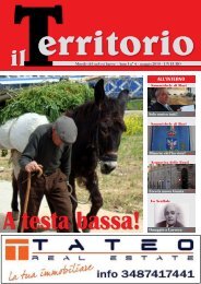 Download numero 4 (maggio 2010) - Il-territorio.it