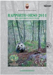 RAPPORTO ORSO 2011 - Orso - Provincia autonoma di Trento