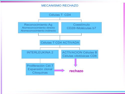 Inmunosupresores I: Ciclosporina, Tacrolimus y Micofenolato