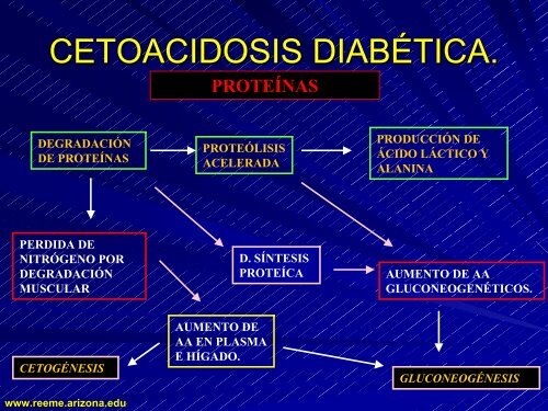 CETOACIDOSIS DIABETICA