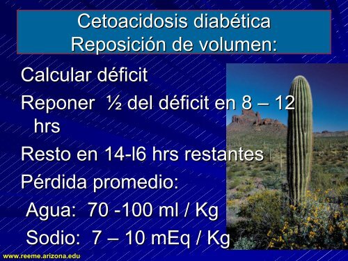 CETOACIDOSIS DIABETICA