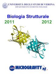 Dispense di Biocristallografia (pdf, it, 818 KB, 3 - Università degli ...