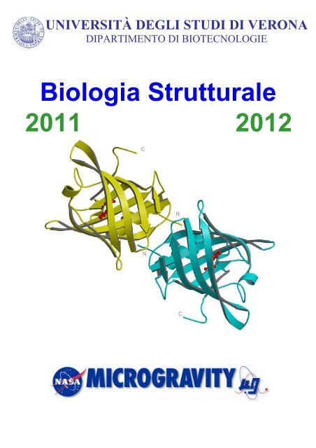 Dispense di Biocristallografia (pdf, it, 818 KB, 3 - Università degli ...